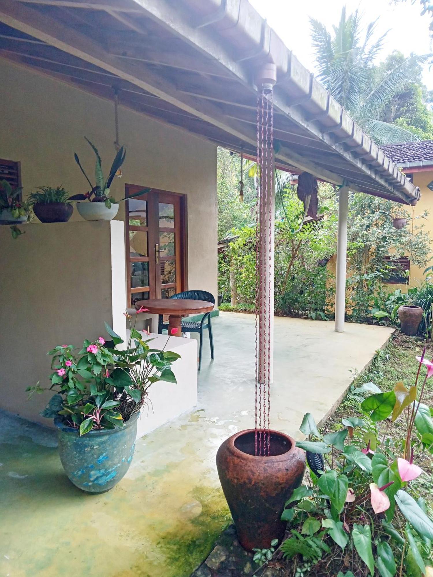 Natural Mystic Sanctuary Deniyaya Exterior photo